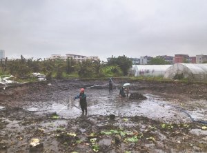 北辰河道鱼塘清淤